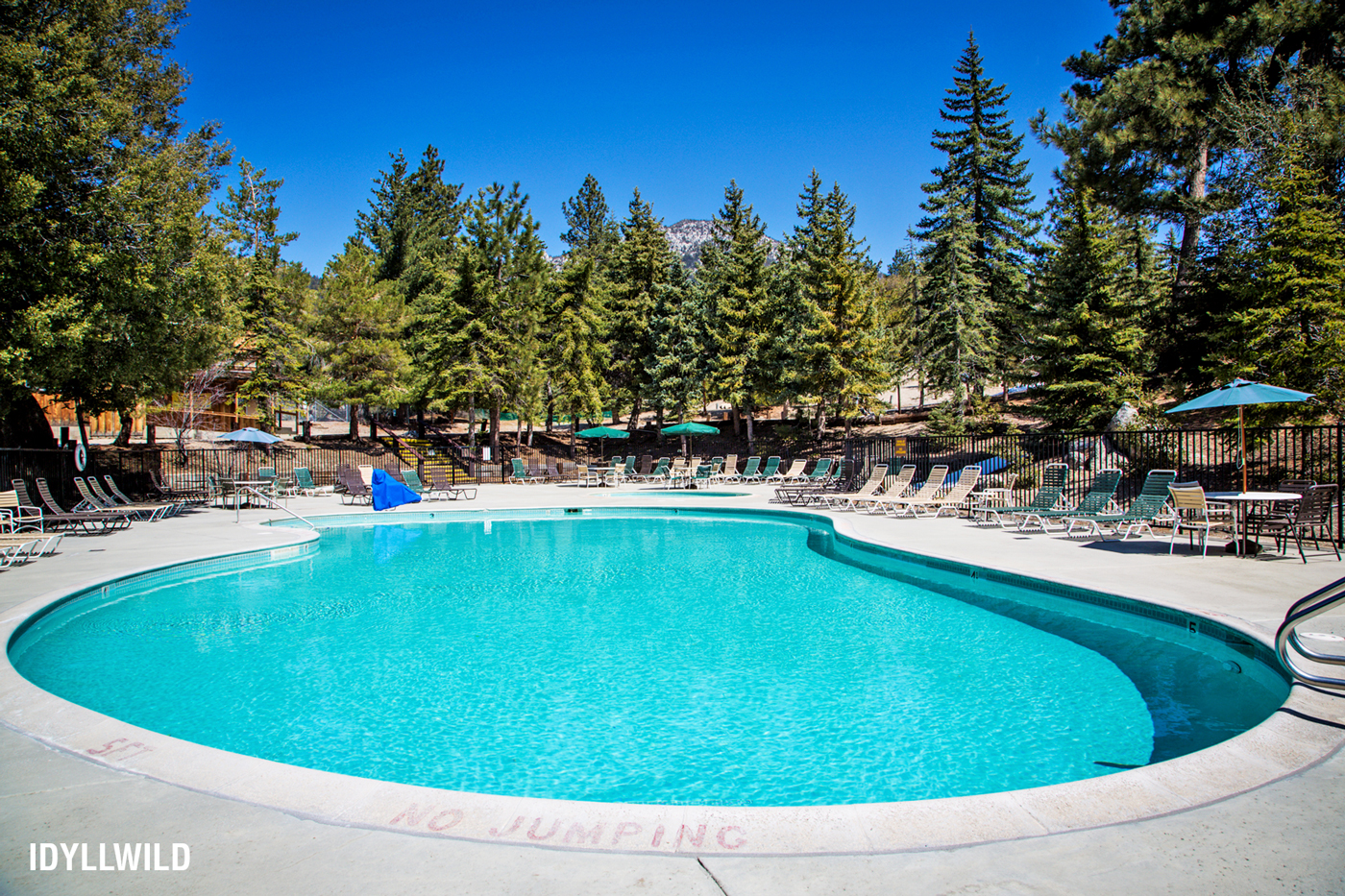 Snowbirds, Come Warm Your Soul in Southern California! Encore Edition